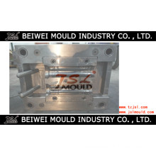 Plastic Injection Inline Filter Housing Body Mould